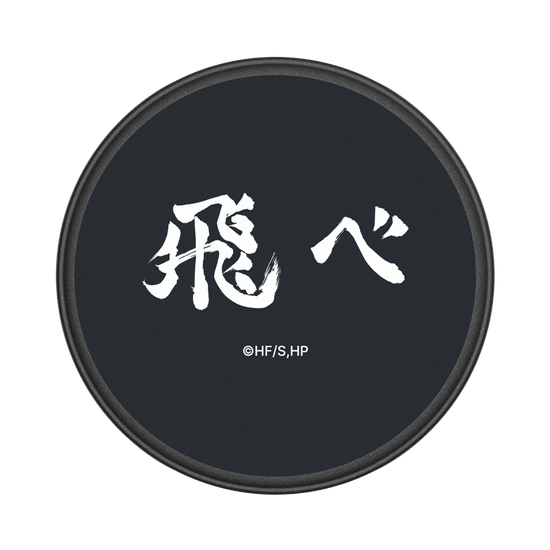 Karasuno High School - Fly!