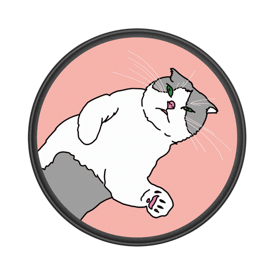 Cat Rule The World