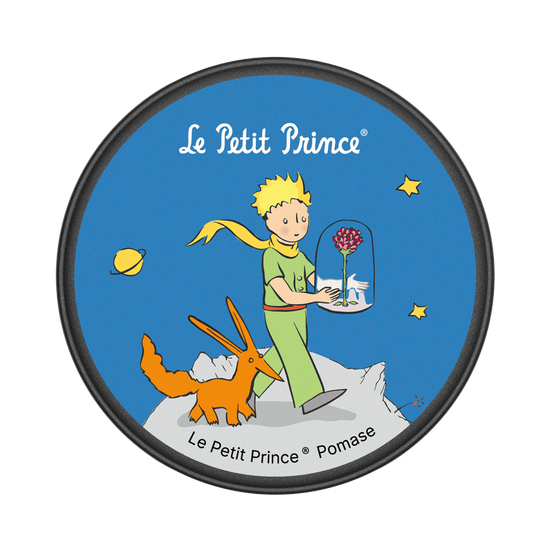 Le Petit Prince, the Fox and the Rose