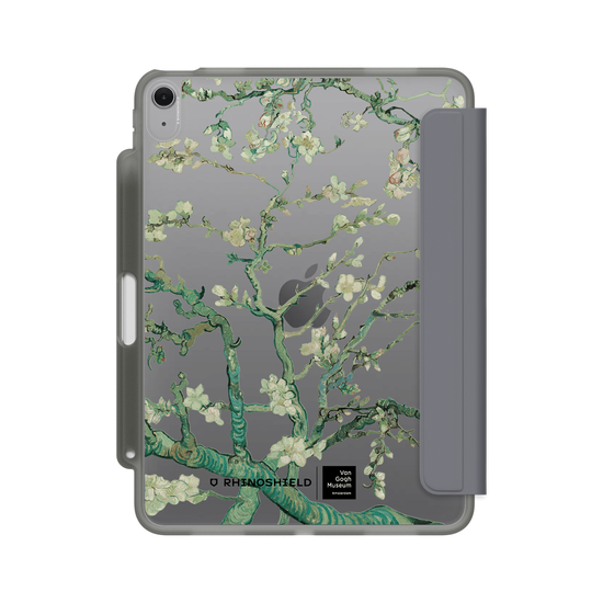 Almond Blossom - Transparent