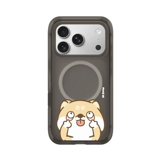 Shiba Pulling a Face