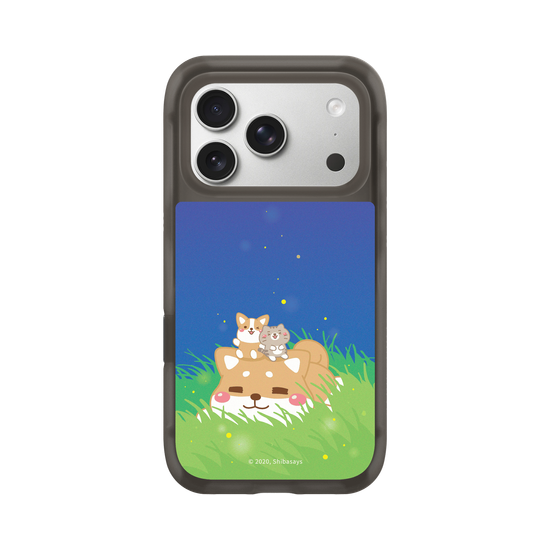 Shiba on the Field