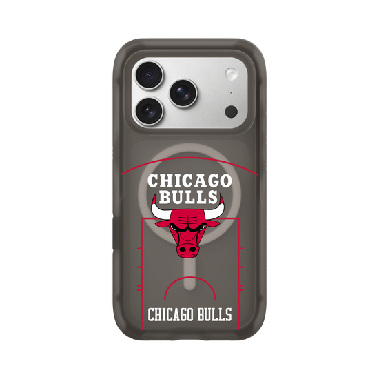 Chicago Bulls - Court