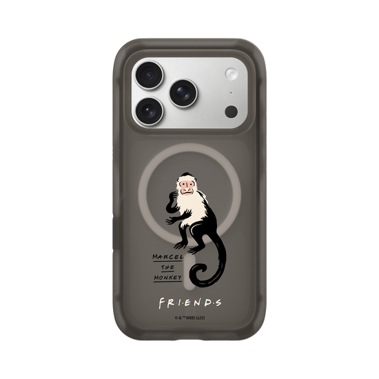 Marcel the monkey