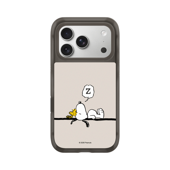 Snoopy Snoozing