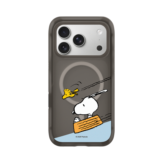 Snoopy Sliding