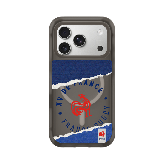 XV de France