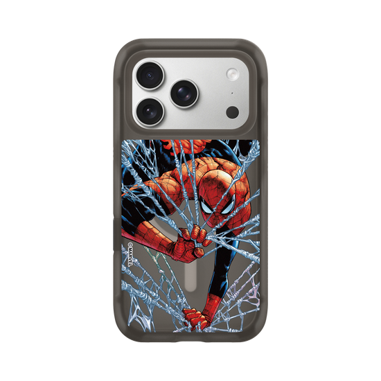 Spider-Man - On the net