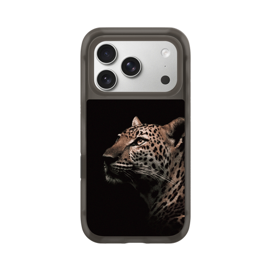 Indochinese Leopard