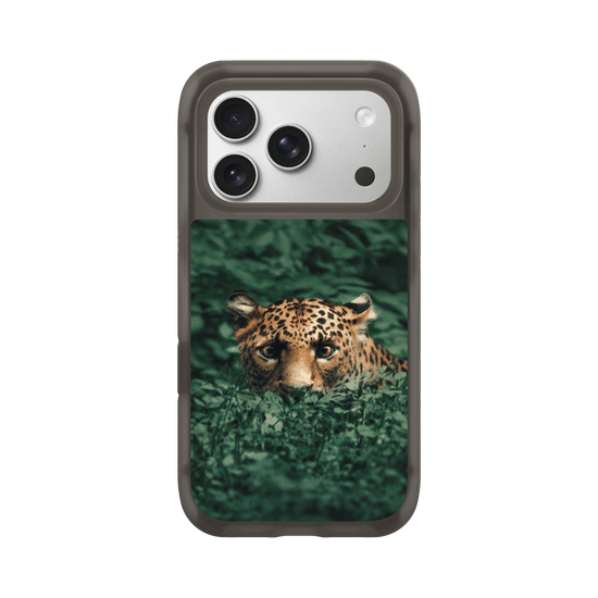 Leopard in the Jungle