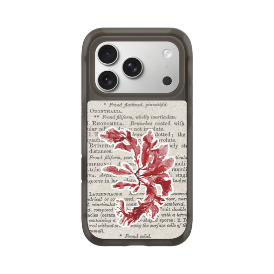 Herbaria Textures