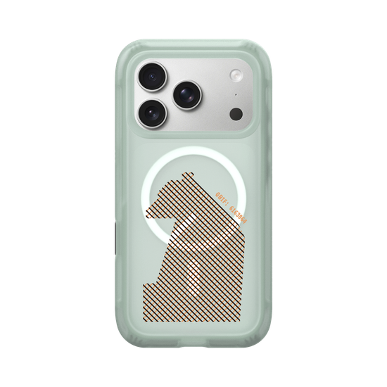 Formosan Black Bear