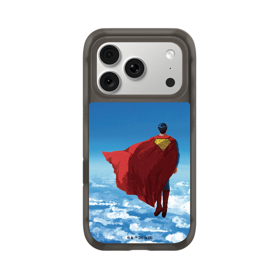 Superman - In The Skies