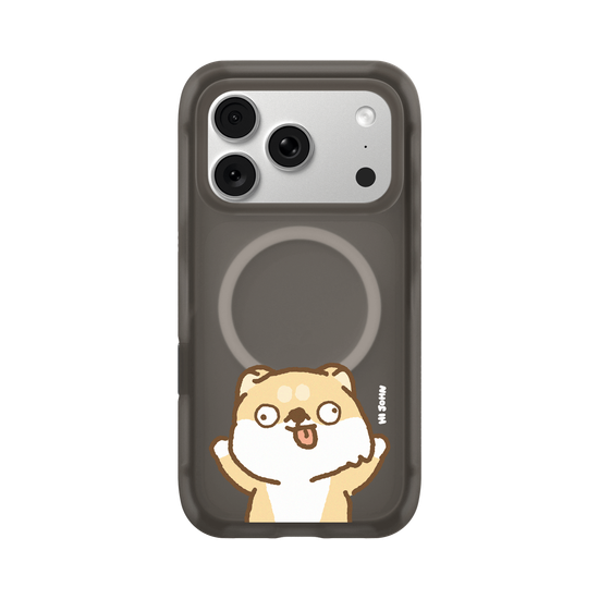 SHIBA