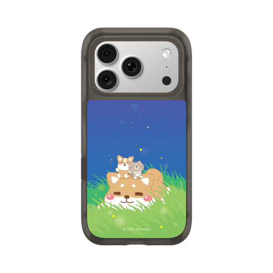Shiba on the Field