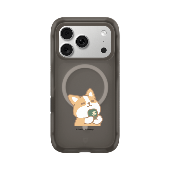 Corgi matcha