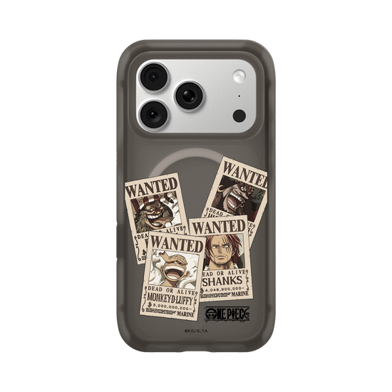 One Piece - Wanted Posters