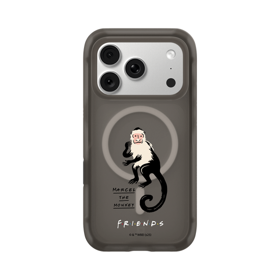 Marcel the monkey