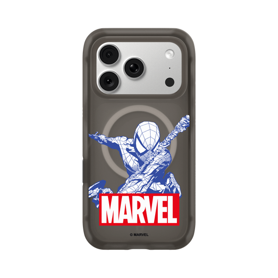 Spider-Man & MARVEL Logo