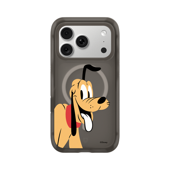 Look at the camera-布魯托