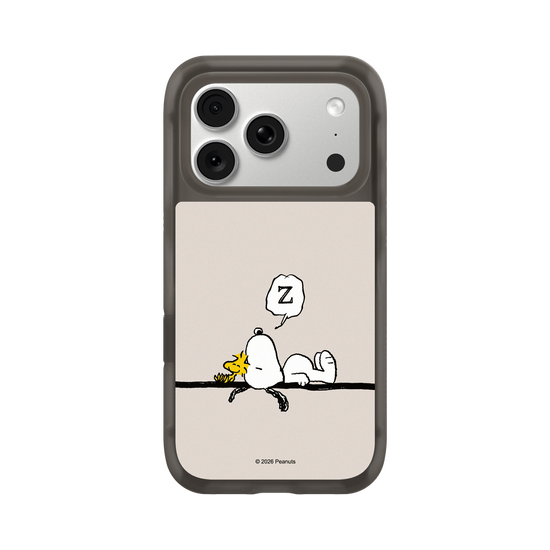 Snoopy Snoozing
