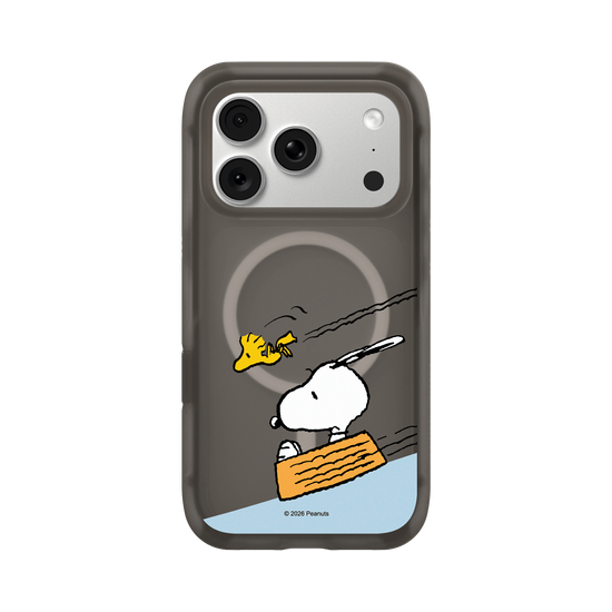 Snoopy Sliding