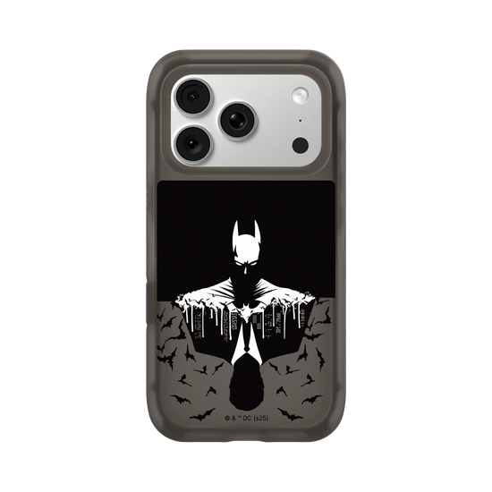 Batman - Bruce/Batman