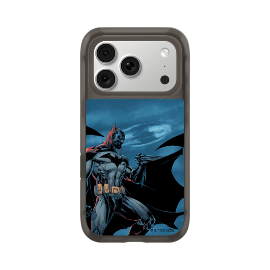 Batman - Bat in the night