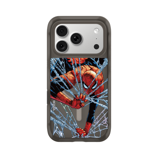 Spider-Man - En internet