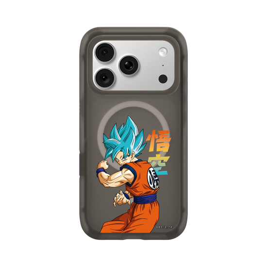 SSGSS Goku