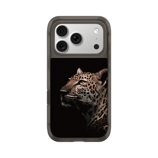 Indochinese Leopard