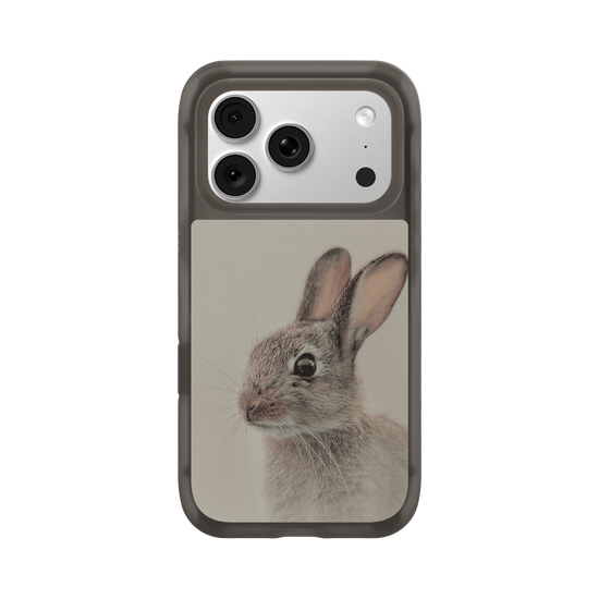 European rabbit