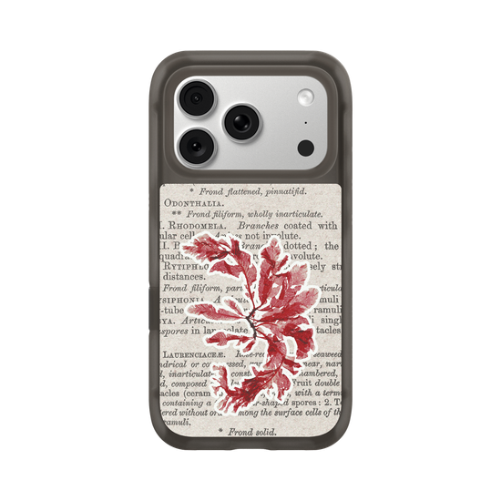 Herbaria Textures