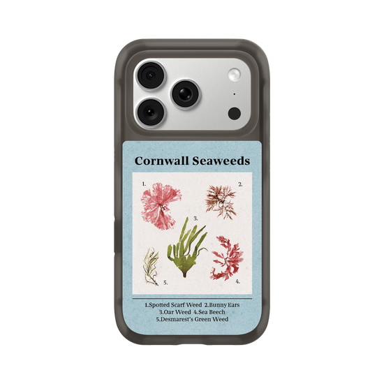 Cornwell Seaweed Poster