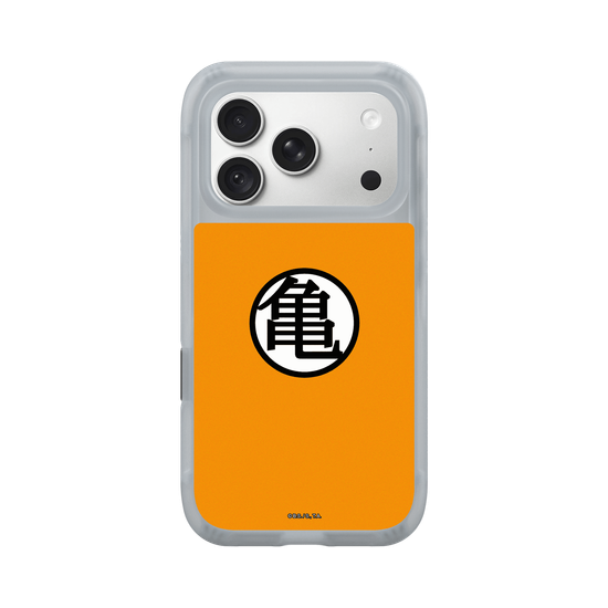 龜