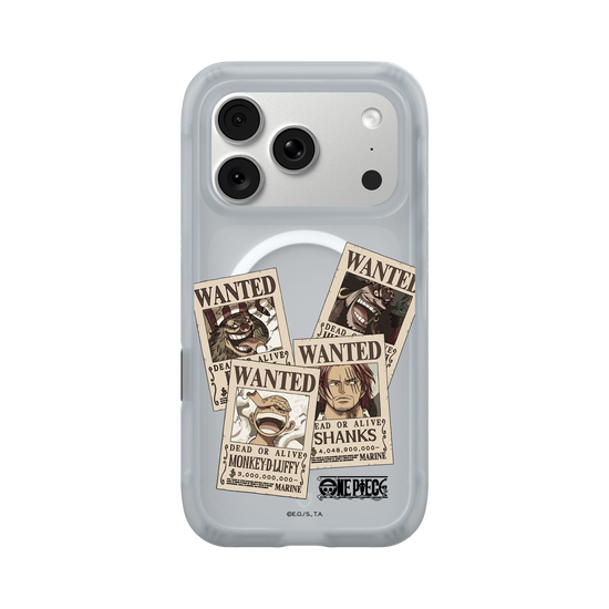 One Piece - Wanted Posters