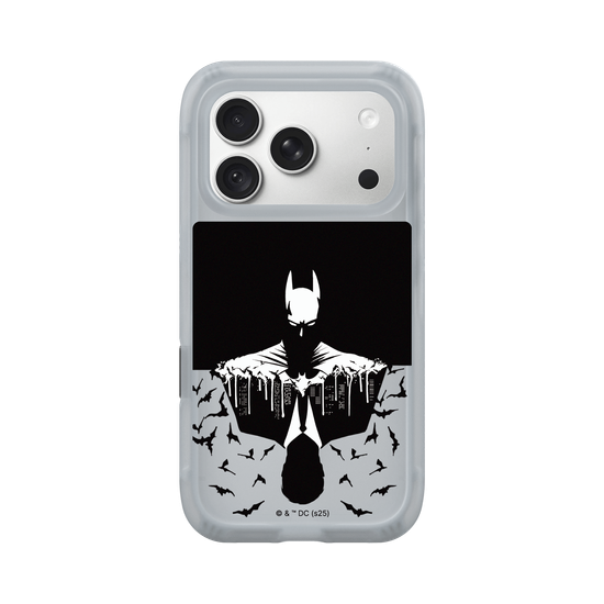Batman - Bruce/Batman