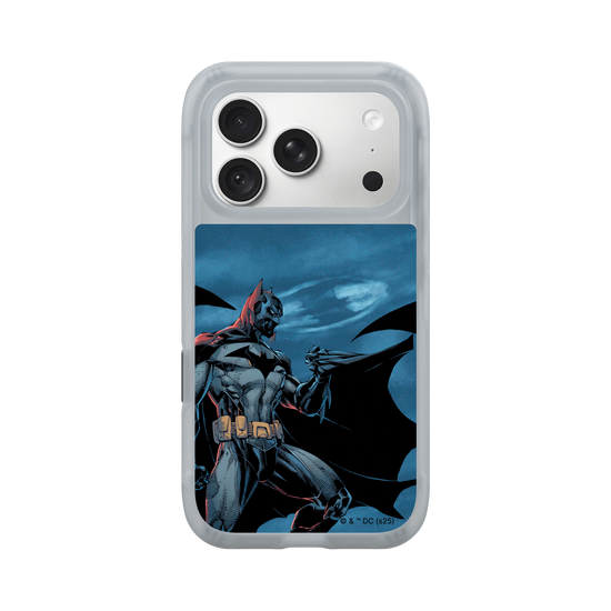 Batman - Bat in the night
