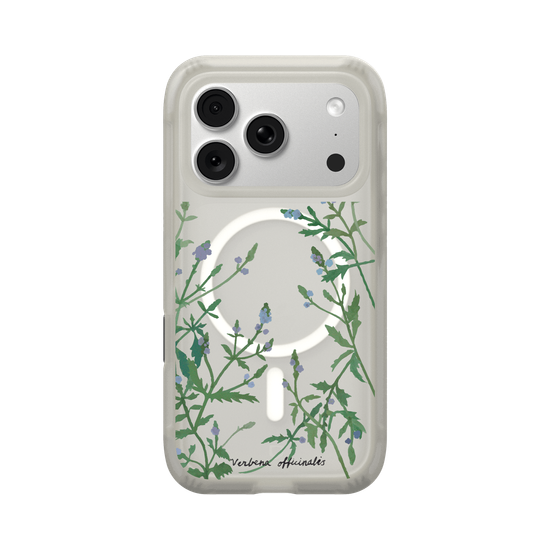 Verbena