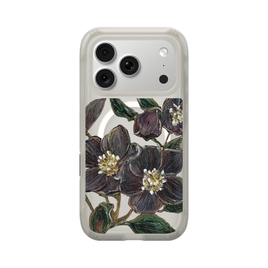 November Helleborus