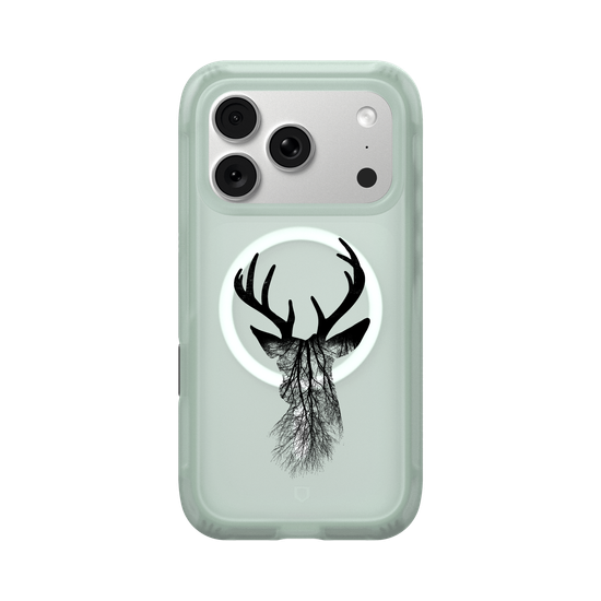 Deer Woods