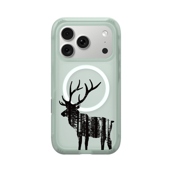 The Winter Buck