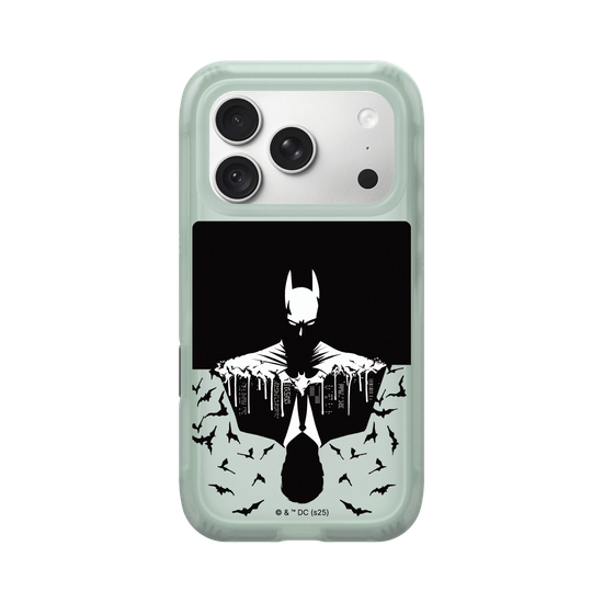 Batman - Bruce/Batman