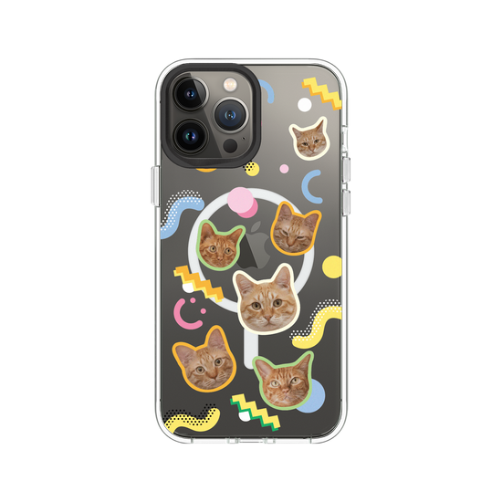 Shubingcat Party