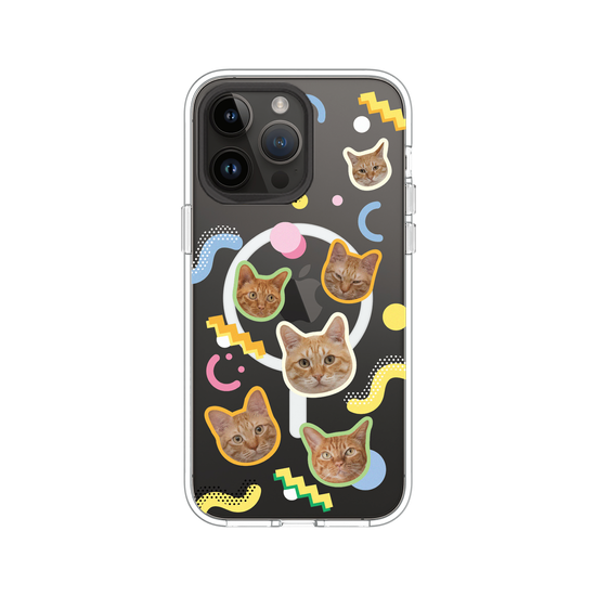 Shubingcat Party