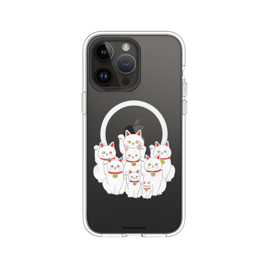 Lucky Cat Family？