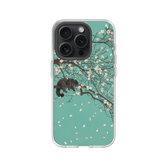 Cherry Blossom