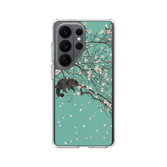 Cherry Blossom