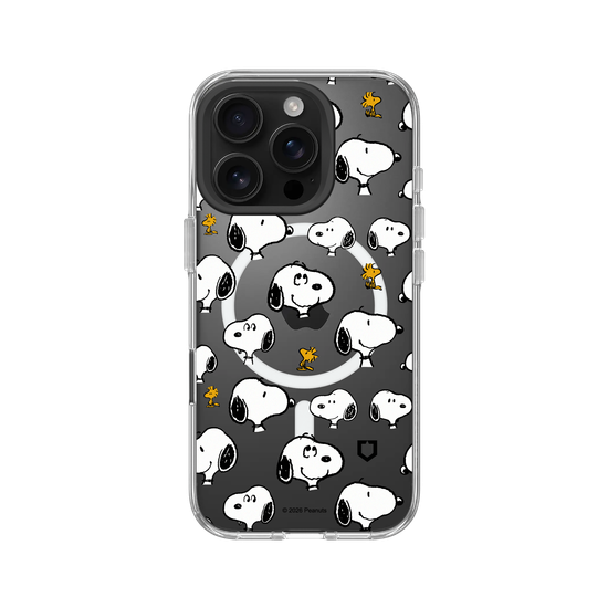 Snoopy & Woodstock - Stickers