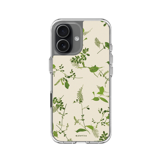 植物誌 – 銀葉